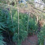 30082022hleianarkot001