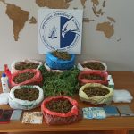 01112022gadakannavi