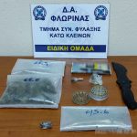 22112022florinasyllipsi