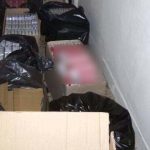 12012023tsigara003