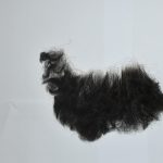 19012023eglimatikiorganosipatra011