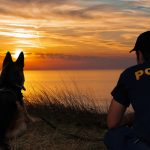 12082012-k9evros8