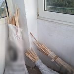 11042023voreio