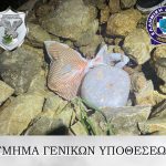 2023-04-08 ΦΩΤΟ 5 ΝΑΡΚΩΤΙΚΑ