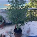 22062023 preveza 2