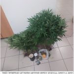 28062023samos