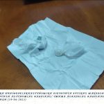 ΤΜΗΜΑ ΑΣΦΑΛΕΙΑΣ ΦΛΩΡΙΝΑΣ – Τ.Σ.Φ. ΚΑΤΩ ΚΛΕΙΝΩΝ