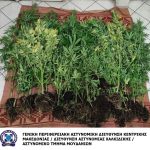 01072023atmoudaniwn (2)
