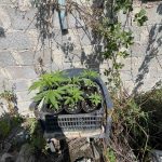 01072023hpeirosnarkotika (4)