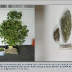 02072023florina