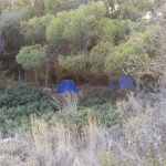 21-7-2023 ΕΞΟΡΜΗΣΗ ΑΓΚΙΣΤΡΙ 1