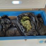 21072023egklimatikiorganwsikriti (9)