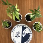 22.7.2023 peloponnisos-epixeirhseis