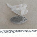 Ο.Π.Κ.Ε. ΚΟΖΑΝΗΣ 1