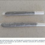 Ο.Π.Κ.Ε. ΚΟΖΑΝΗΣ 2
