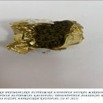 Τ.Δ.Ν. ΚΑΣΤΟΡΙΑΣ