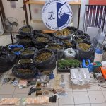 11.8.2023 messinia-narkwtika-sillipseis