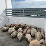 02092023 naxos1