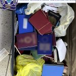 08092023allodapon008