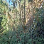 29-9-2023 Συνελήφθη άνδρας στη Δυτική Αχαία για δ (8)