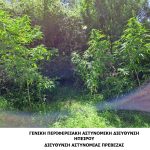 ΔΕΝΔΡΥΛΛΙΑ 2