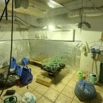 11102023peloponnisosnark003