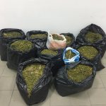 23102023peloponnisosnark002