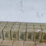03022024 dt ladi (5)