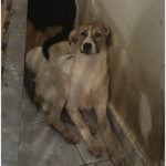 28022024gadth (4)