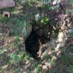 07032024gadaarxaia (4)