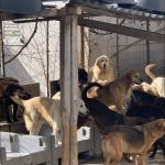 2024-03-08 ΦΩΤΟ 1