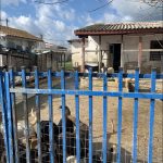 2024-03-08 ΦΩΤΟ 3