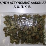 28.3.2024 peloponnisos-ektetameni epixeirhsh (2)