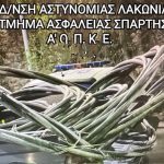1.4.2024-lakwnia-diak. klopes-sillipsi