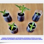 FOTO Y.A. LAMIAS