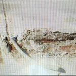 05052024 yap korydallos2