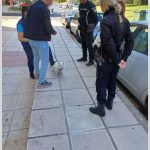 2024-05-13 ΦΩΤΟ ΔΕΣΠΟΖΟΜΕΝΑ ΖΩΑ 1