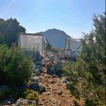 SYLLHPSH FYTEIA KANNABHW KALYMNOS F0