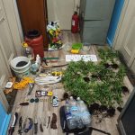 SYLLHPSH FYTEIA KANNABHW KALYMNOS F3