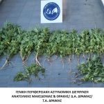 02062024amtnark