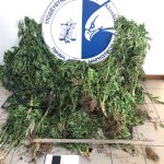 18.6.2024-messinia-narkwtika-syllipsi