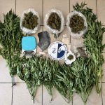 19.6.2024 messinia-narkwtika-sillipseis