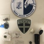 13.7.2024-messinia-epixeirisi-syllipseis
