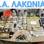 31.7.2024-lakwnia-egkl.organwsi-narkwtika