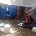 Φώτο 5 από 6 ΤΑ Έδεσσας