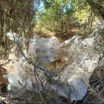 03082024pelopfyteia (5)