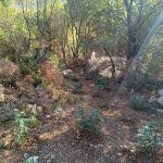 03082024pelopfyteia (6)
