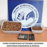 08082024amtnark (1)