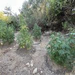 09082024krhthfyteia (3)