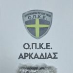 14.8.2024 peloponnisos-epixeiriseis (2)